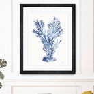 Shibori Coral I by Mary Urban on GIANT ART - blue