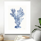 Shibori Coral I by Mary Urban on GIANT ART - blue