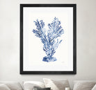 Shibori Coral I by Mary Urban on GIANT ART - blue