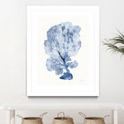 Shibori Coral II by Mary Urban on GIANT ART - blue