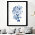 Shibori Coral II by Mary Urban on GIANT ART - blue