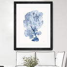Shibori Coral II by Mary Urban on GIANT ART - blue