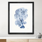 Shibori Coral II by Mary Urban on GIANT ART - blue