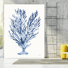 Shibori Coral IV by Mary Urban on GIANT ART - blue