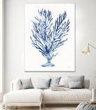 Shibori Coral IV by Mary Urban on GIANT ART - blue
