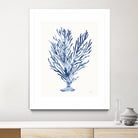Shibori Coral IV by Mary Urban on GIANT ART - blue