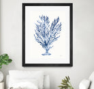 Shibori Coral IV by Mary Urban on GIANT ART - blue