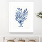 Shibori Coral IV by Mary Urban on GIANT ART - blue
