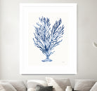 Shibori Coral IV by Mary Urban on GIANT ART - blue