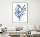 Shibori Coral IV by Mary Urban on GIANT ART - blue