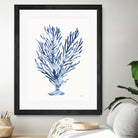 Shibori Coral IV by Mary Urban on GIANT ART - blue