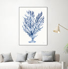 Shibori Coral IV by Mary Urban on GIANT ART - blue