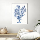 Shibori Coral IV by Mary Urban on GIANT ART - blue