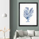 Shibori Coral IV by Mary Urban on GIANT ART - blue