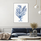 Shibori Coral IV by Mary Urban on GIANT ART - blue