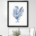 Shibori Coral IV by Mary Urban on GIANT ART - blue