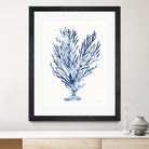 Shibori Coral IV by Mary Urban on GIANT ART - blue