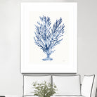 Shibori Coral IV by Mary Urban on GIANT ART - blue