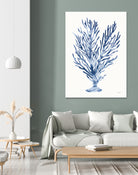 Shibori Coral IV by Mary Urban on GIANT ART - blue