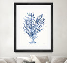 Shibori Coral IV by Mary Urban on GIANT ART - blue
