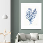 Shibori Coral IV by Mary Urban on GIANT ART - blue