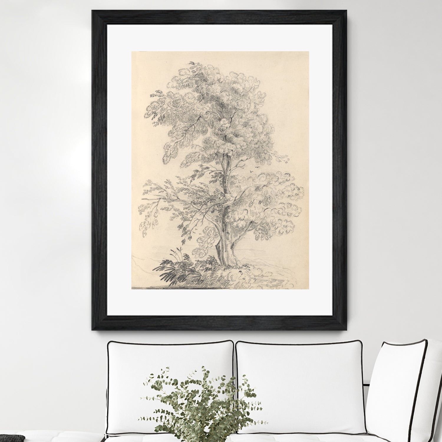 Tree Sketch by Wild Apple Portfolio on GIANT ART - abstract