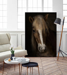 Sapience by Martine on GIANT ART - animals haflinger