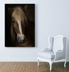 Sapience by Martine on GIANT ART - animals haflinger