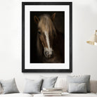 Sapience by Martine on GIANT ART - animals haflinger