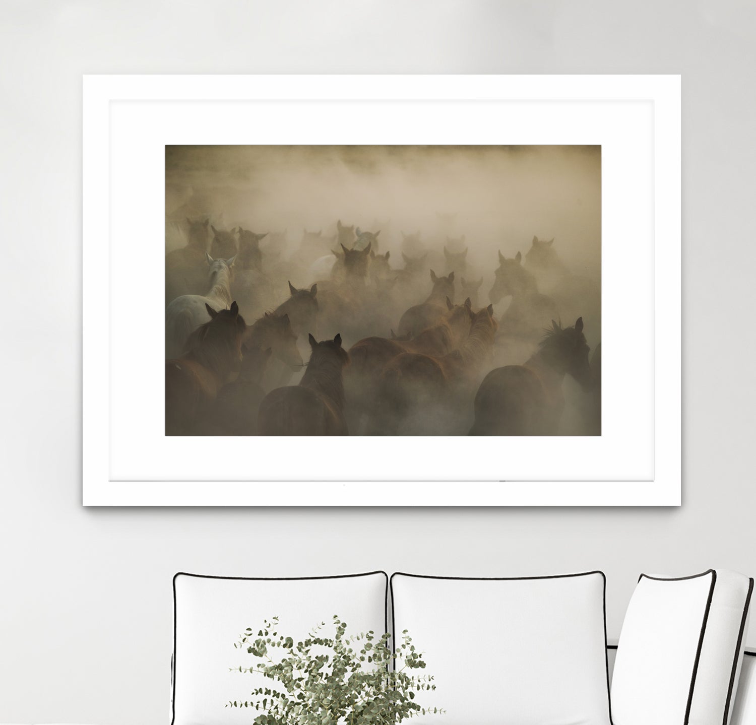 in dust by Huseyin on GIANT ART - photography horses