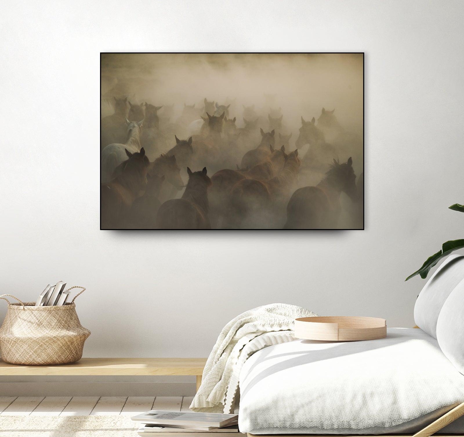 in dust by Huseyin on GIANT ART - photography horses