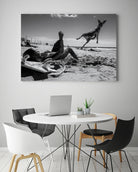 The Super Dog !!! by Luis Vasconcelos on GIANT ART - action vasconcelos