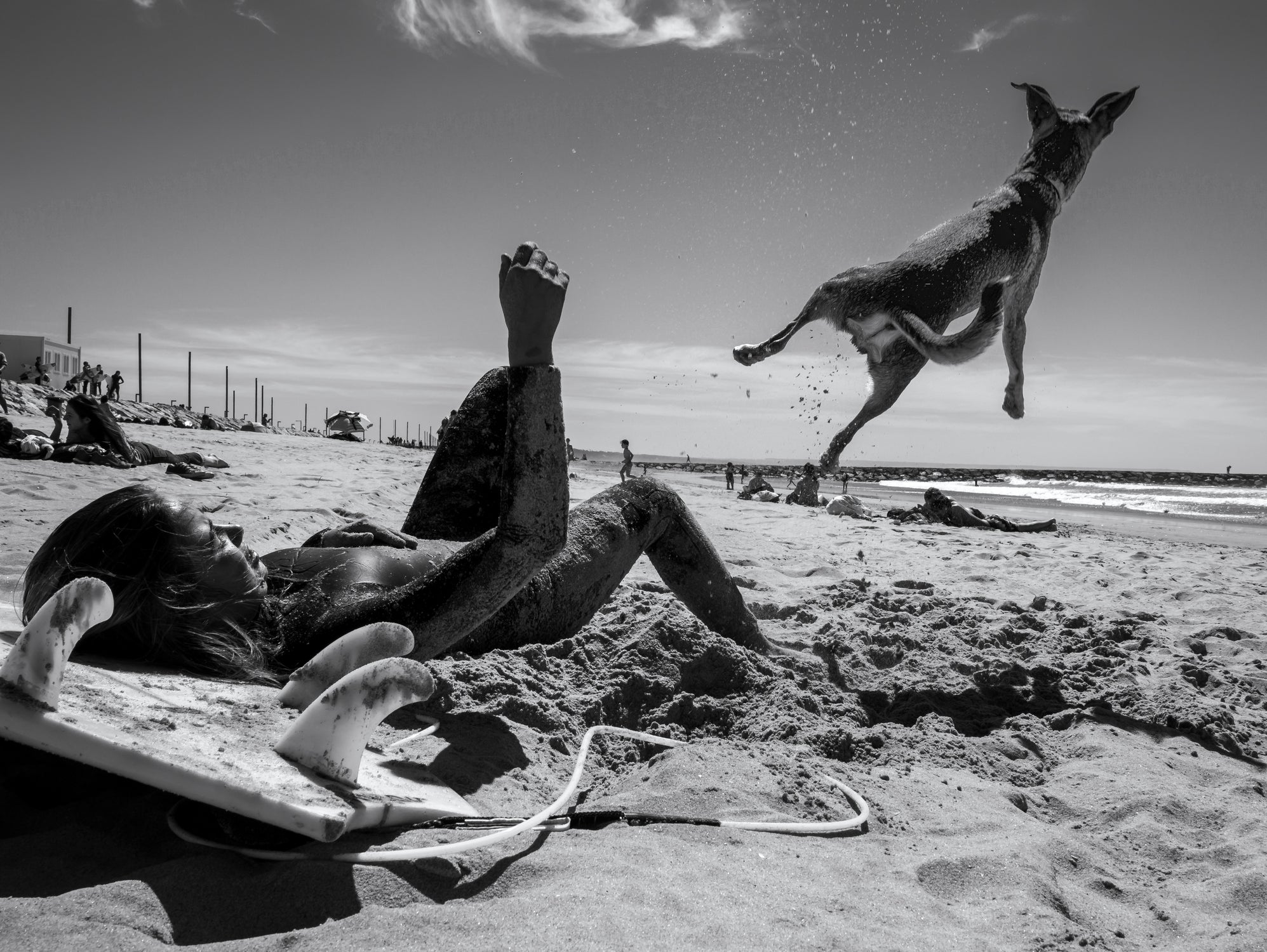 The Super Dog !!! by Luis Vasconcelos on GIANT ART - action vasconcelos