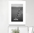 The beauty of diving by Greetje on GIANT ART - black and white  photography quick