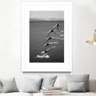 The beauty of diving by Greetje on GIANT ART - black and white  photography quick