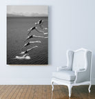 The beauty of diving by Greetje on GIANT ART - black and white  photography quick