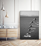 The beauty of diving by Greetje on GIANT ART - black and white  photography quick