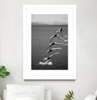 The beauty of diving by Greetje on GIANT ART - black and white  photography quick