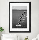 The beauty of diving by Greetje on GIANT ART - black and white  photography quick