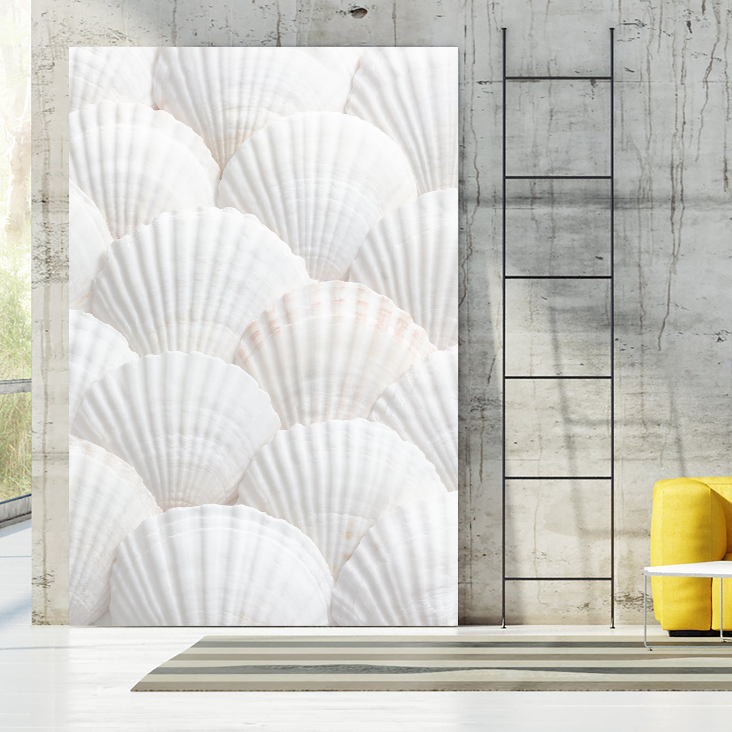 Shells_3 by Pictufy Studio III on GIANT ART - photography shells