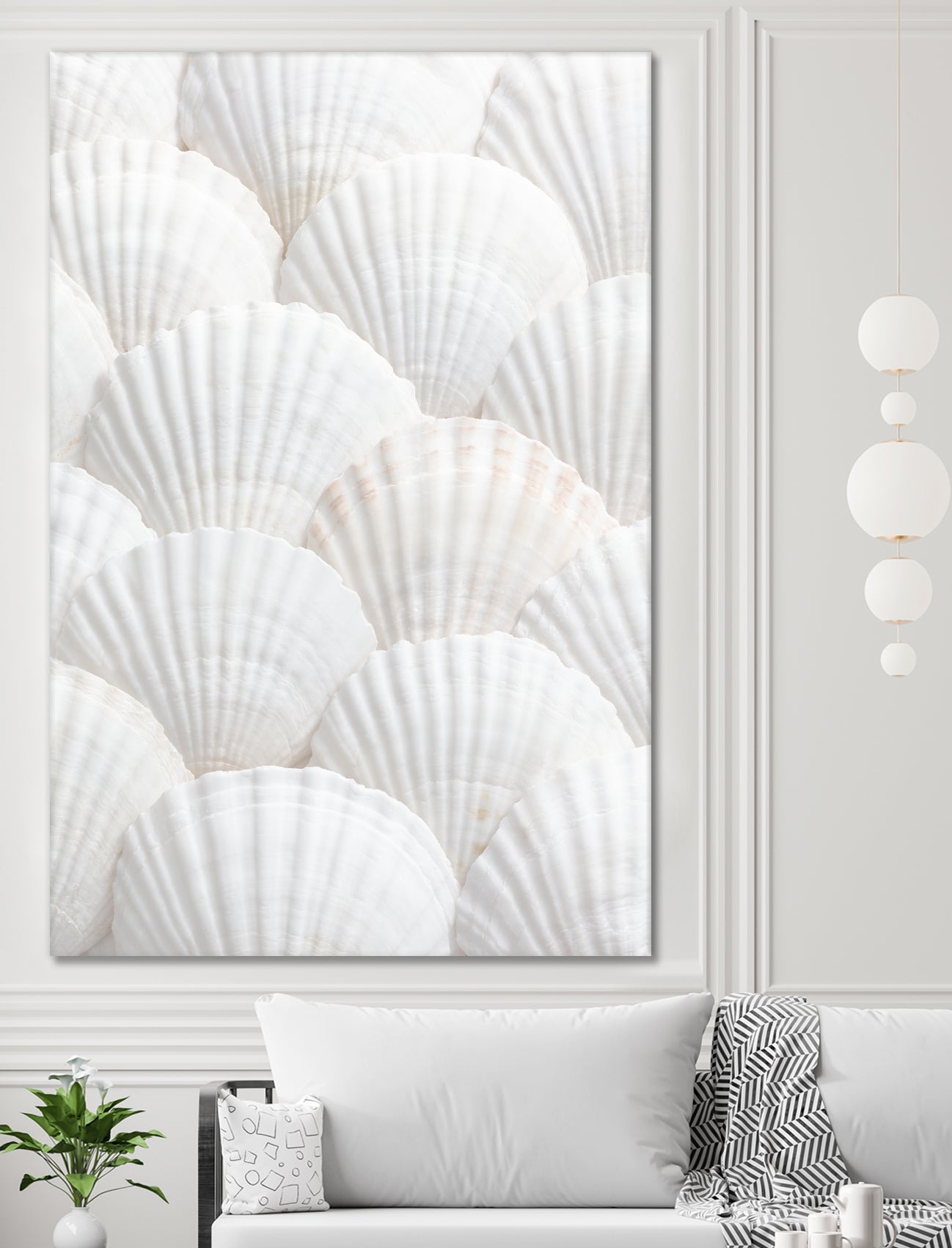 Shells_3 by Pictufy Studio III on GIANT ART - photography shells