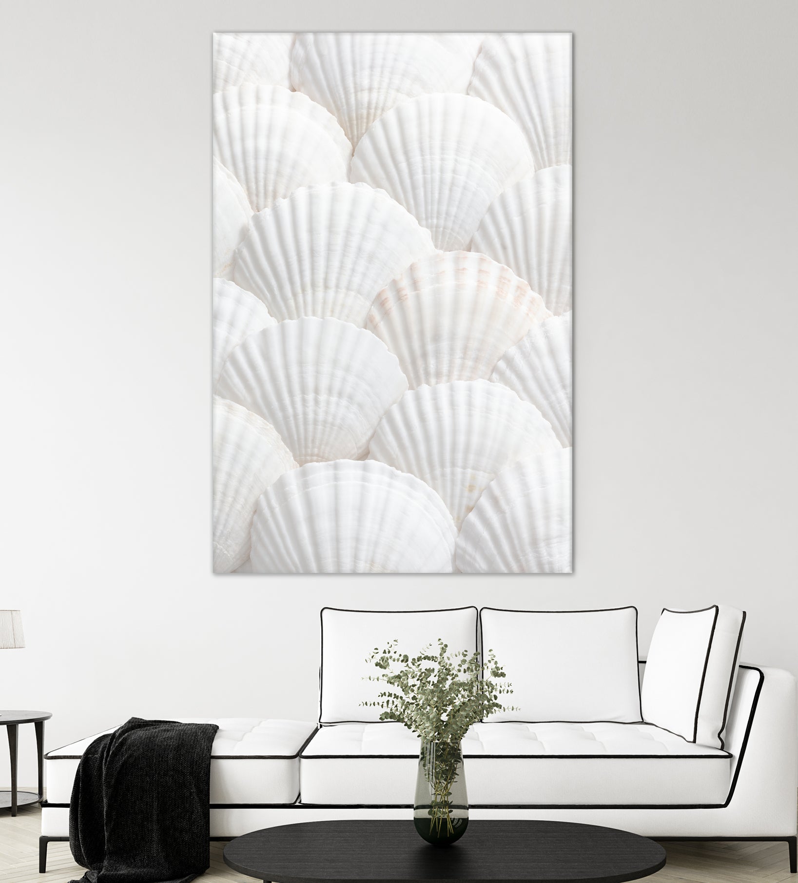 Shells_3 by Pictufy Studio III on GIANT ART - photography shells