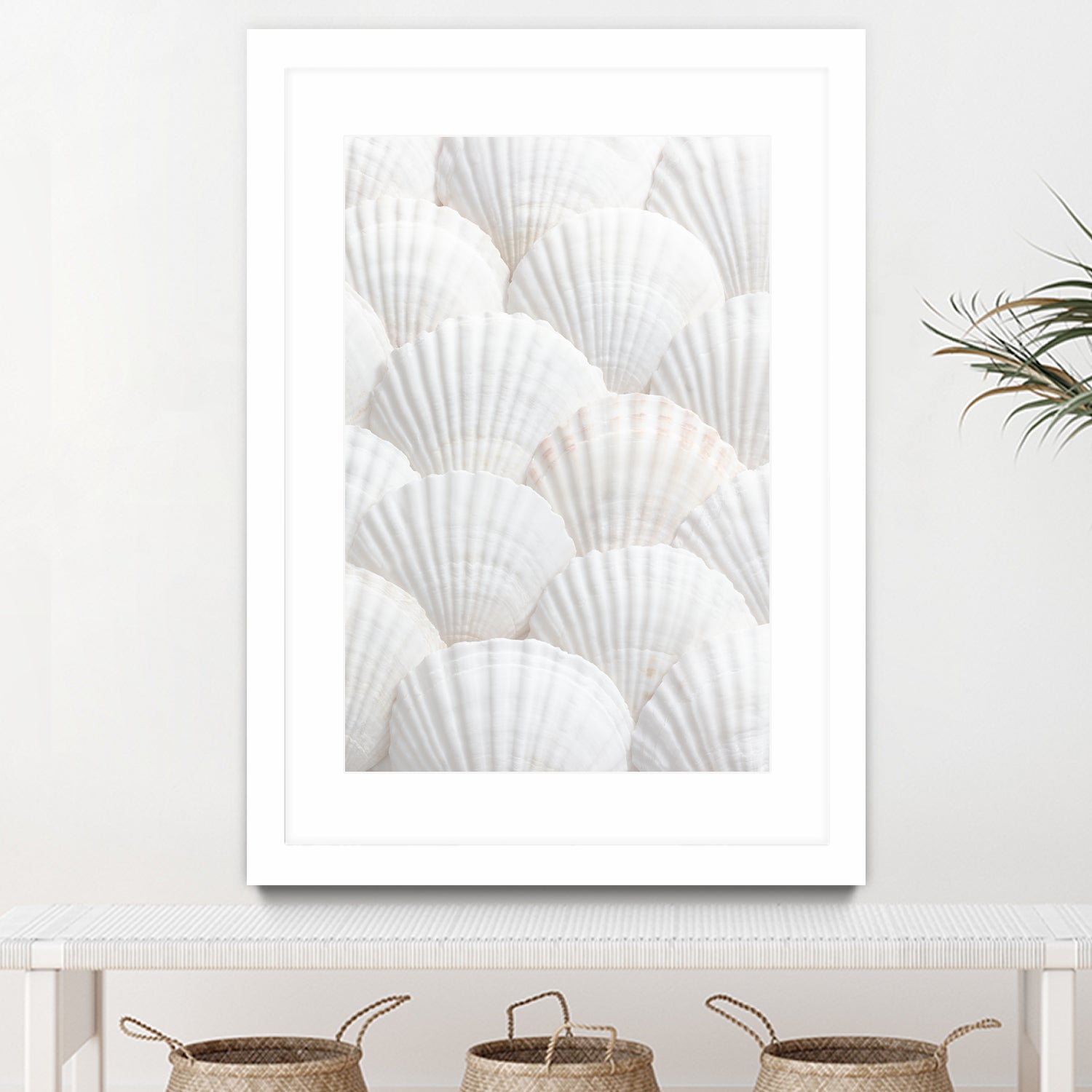 Shells_3 by Pictufy Studio III on GIANT ART - photography shells