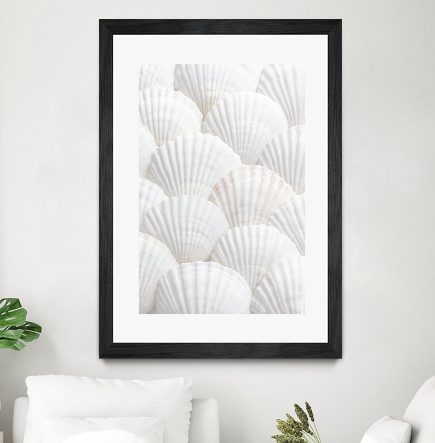 Shells_3 by Pictufy Studio III on GIANT ART - photography shells