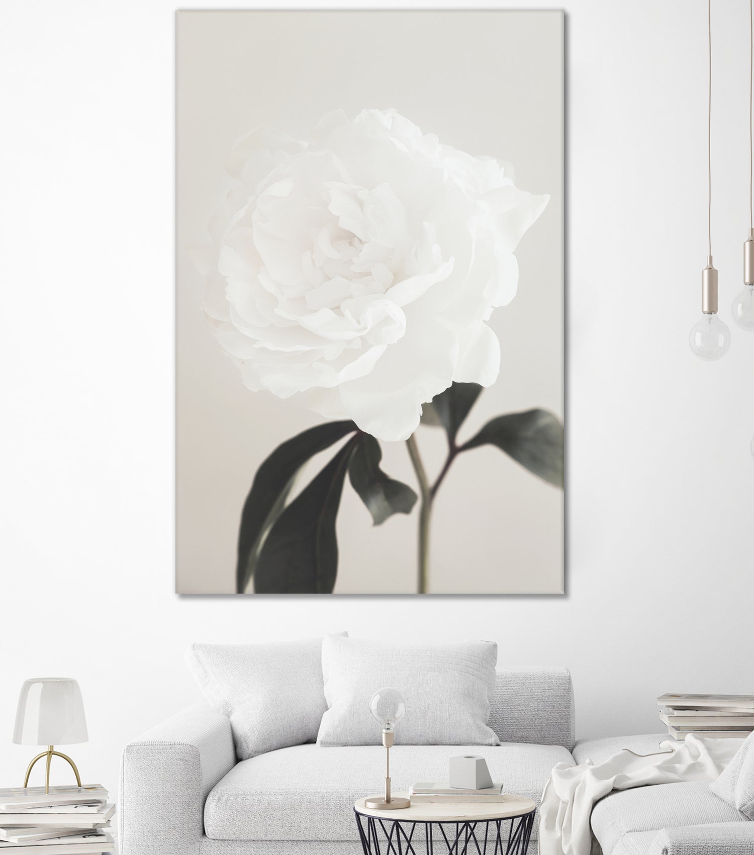 Peony 03 by Pictufy Studio III on GIANT ART - still life flower