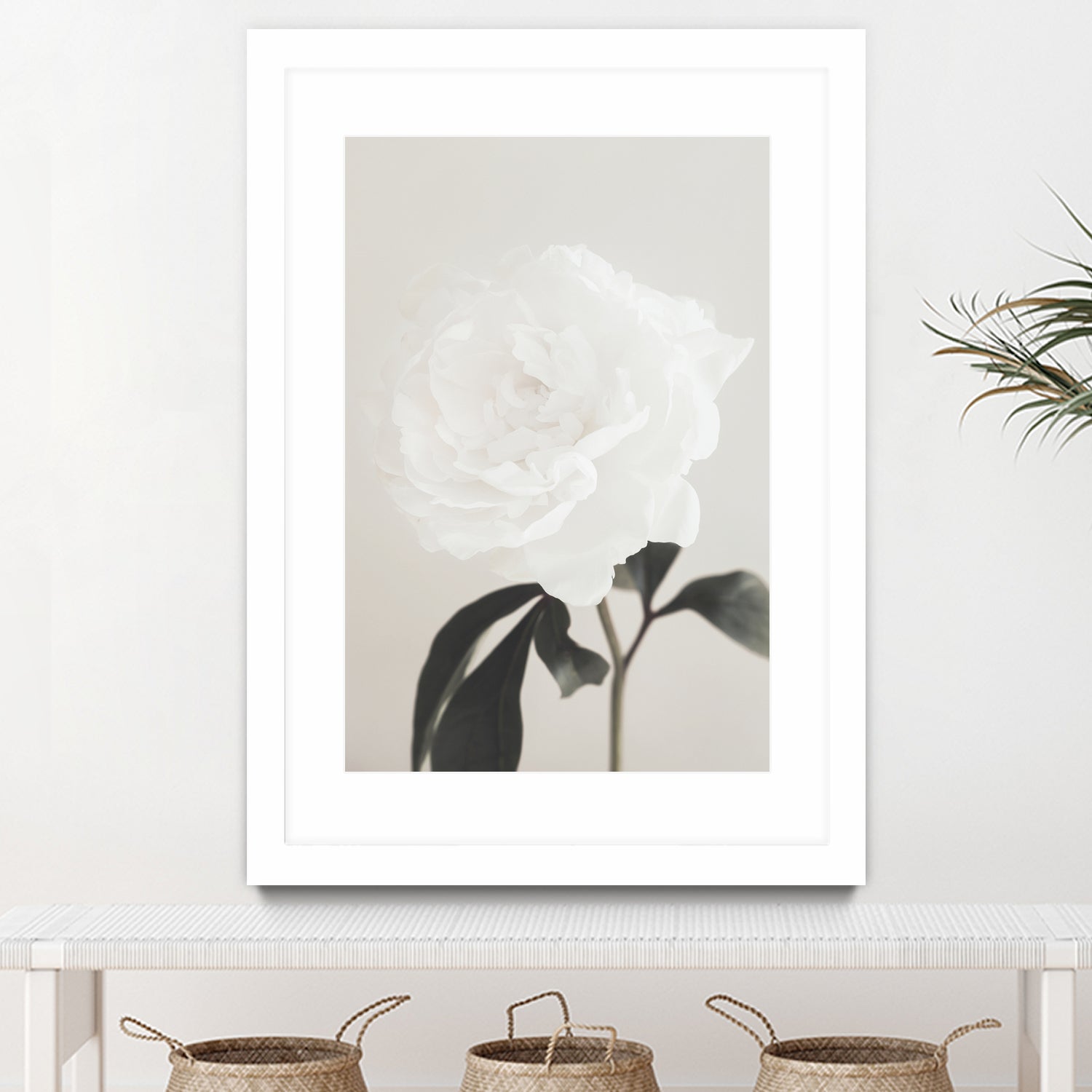 Peony 03 by Pictufy Studio III on GIANT ART - still life flower