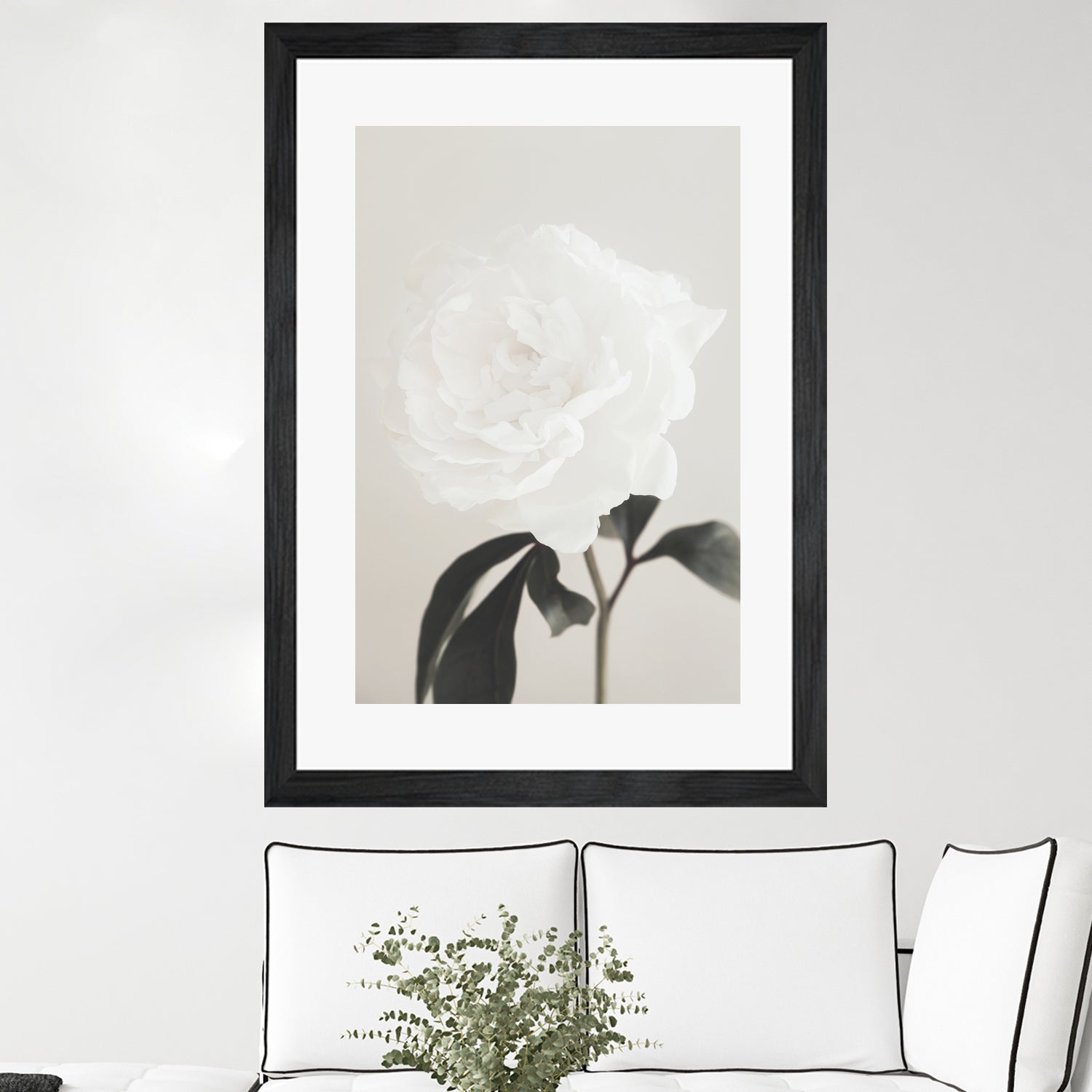 Peony 03 by Pictufy Studio III on GIANT ART - still life flower