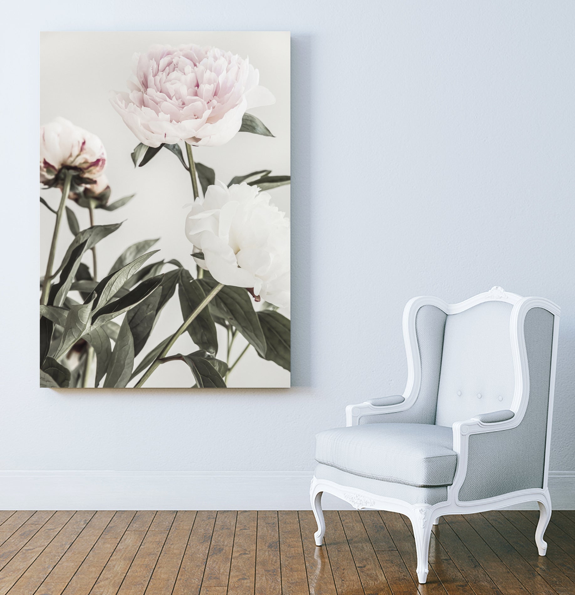 Peony 04 by Pictufy on GIANT ART - still life flower