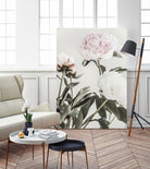 Peony 04 by Pictufy on GIANT ART - still life flower