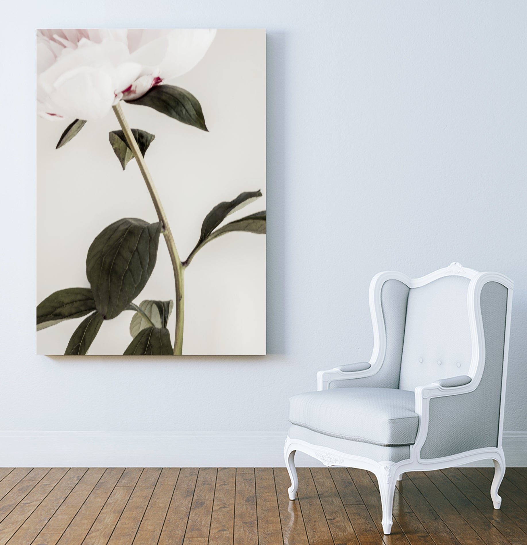 Peony 09 by Pictufy on GIANT ART - still life flower